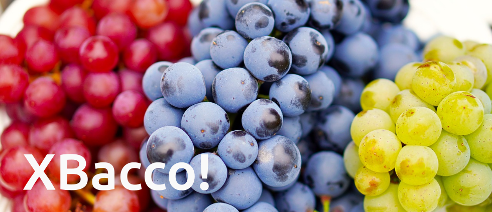 Banner XBacco